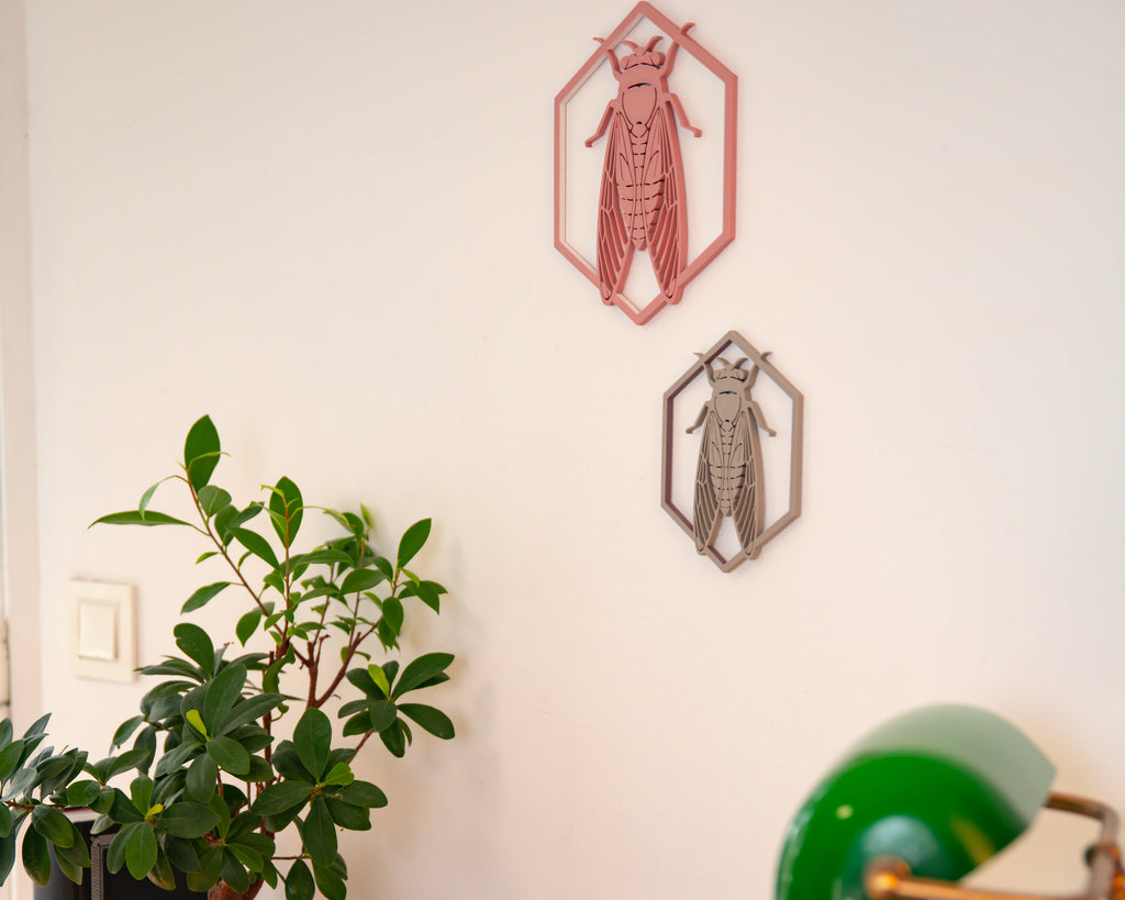 La cigale du Sud - Gris de lune - Petit modèle