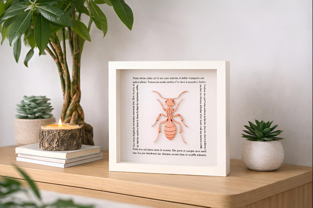 La Fourmi des Mots - Cadre