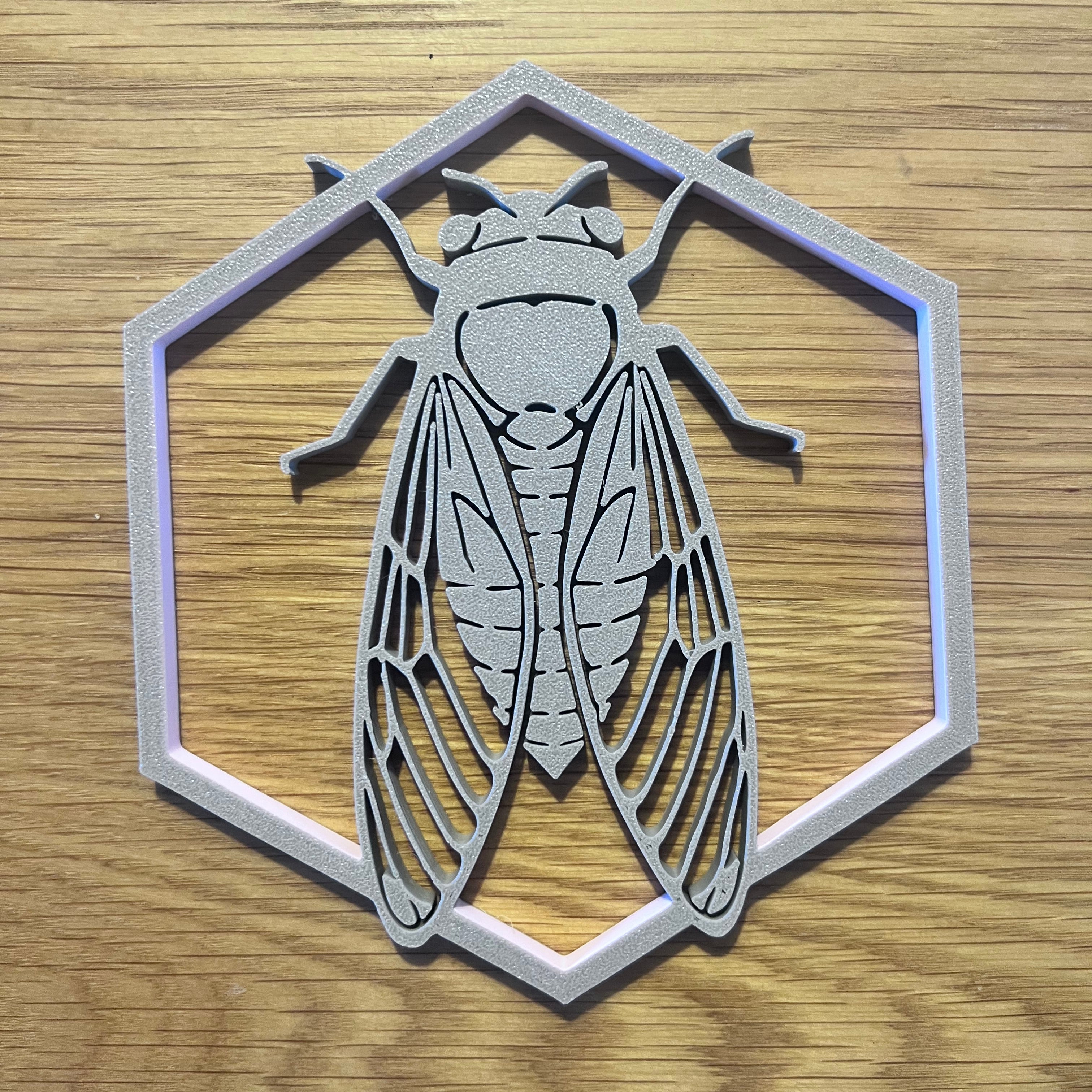 La cigale du Sud - Gris de lune - Petit modèle