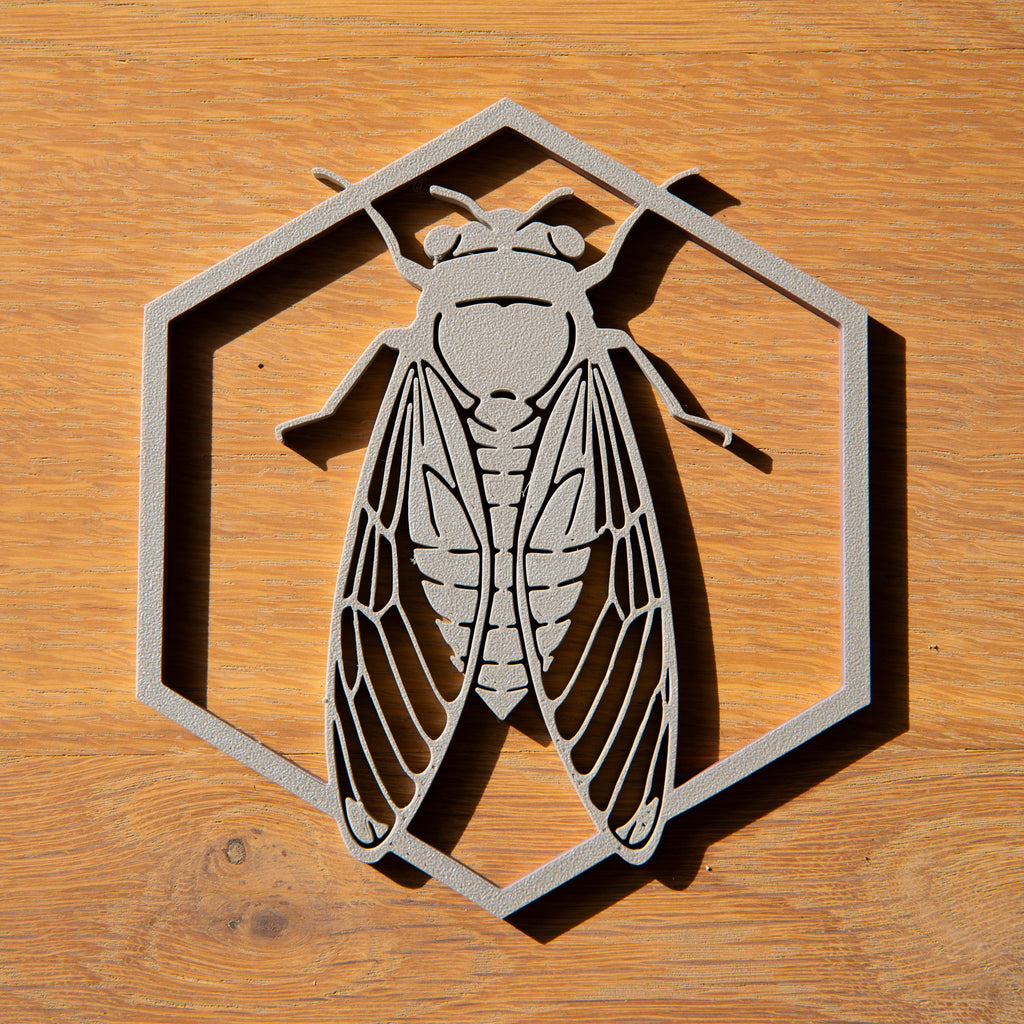 La cigale du Sud - Gris de lune - Petit modèle