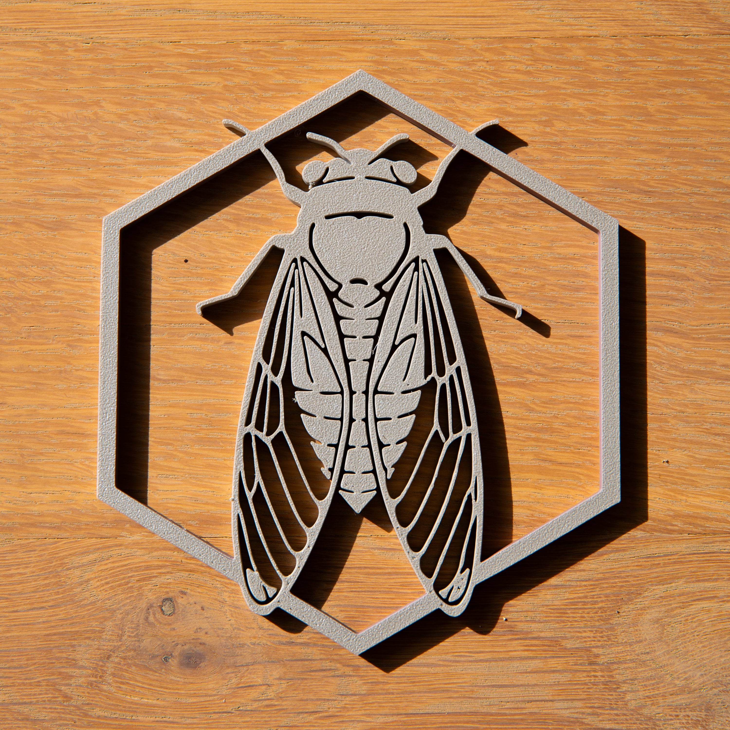 La cigale du Sud - Gris de lune - Petit modèle