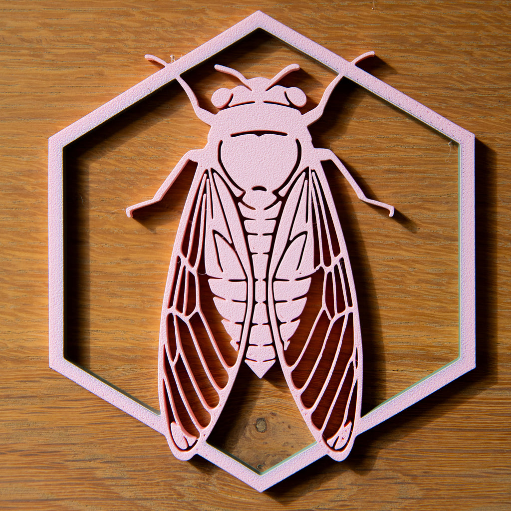 La cigale du Sud - Rose pale - Petit modèle