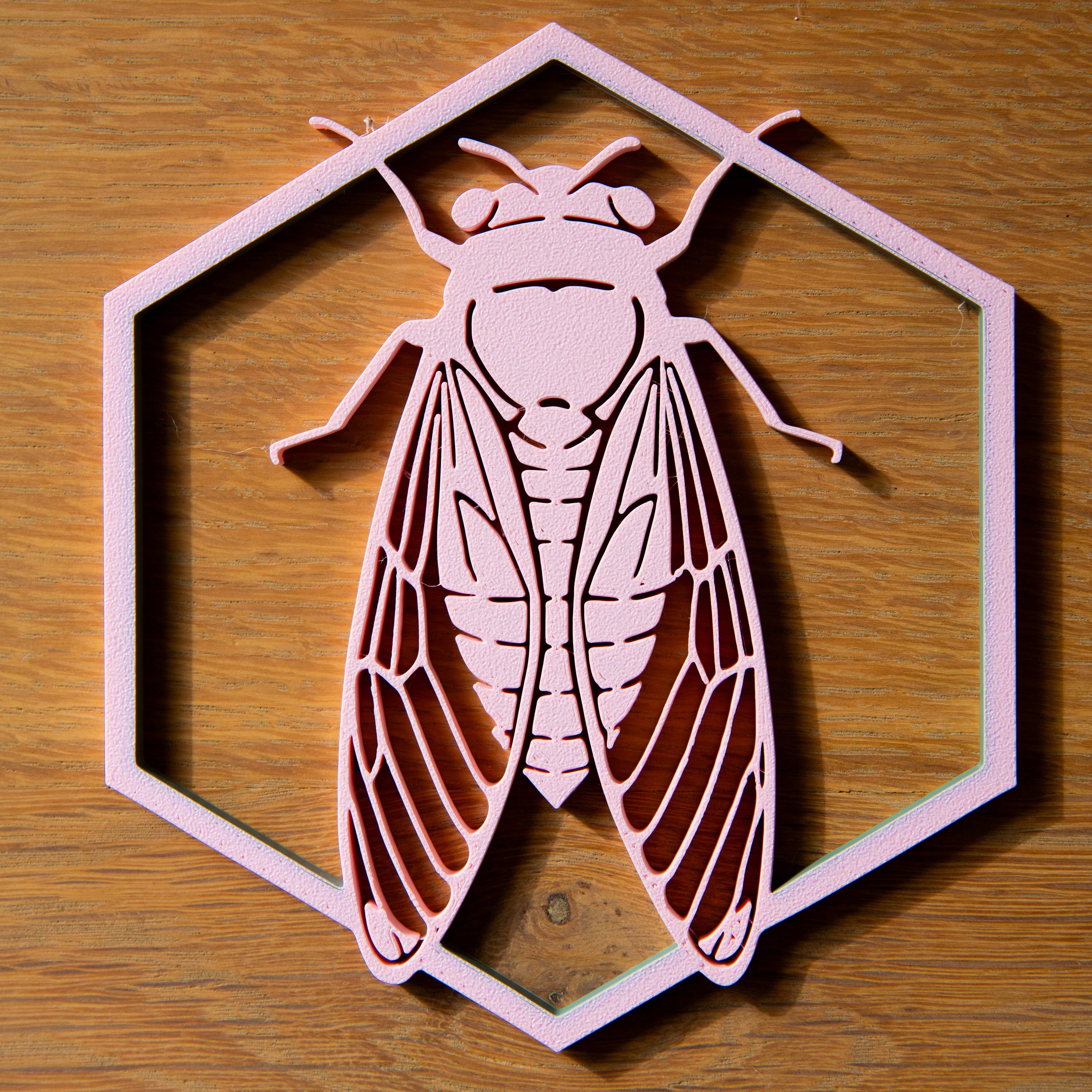 La cigale du Sud - Rose pale - Petit modèle