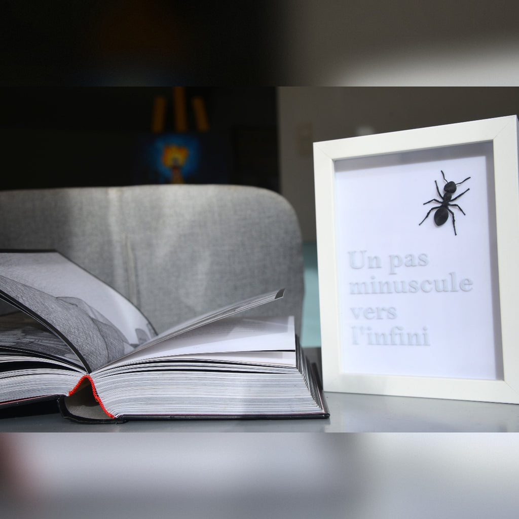 Minuscule Infini - Cadre